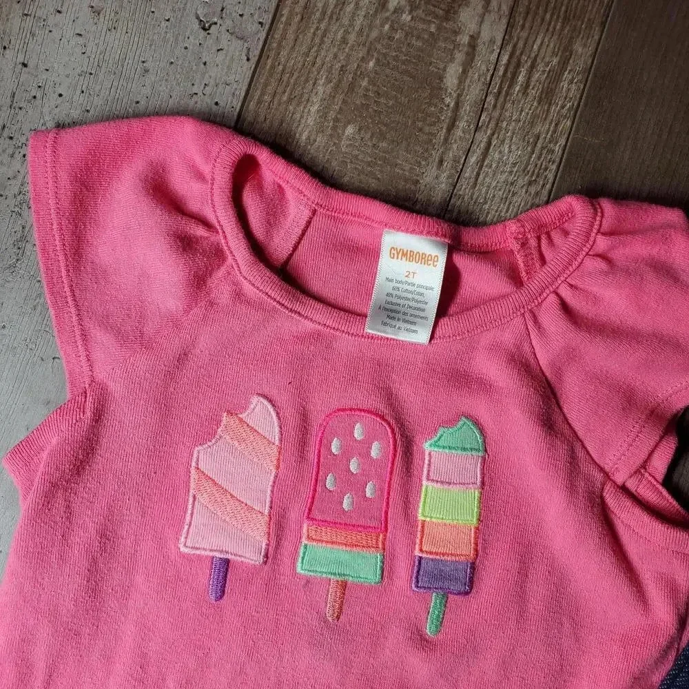 Carter's & Gymboree Baby Toddler Girl Clothing Bundle Size 24M 2T